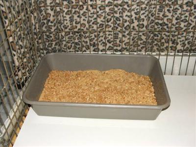 Clean the Litter Box