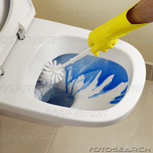 Clean the Toilet