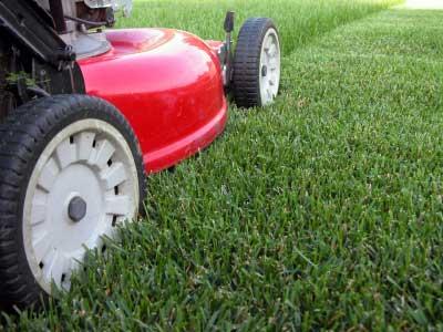 Mow the Lawn on a Hot, Humid Day