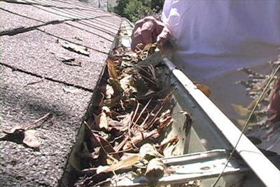 Clean Out the Gutters