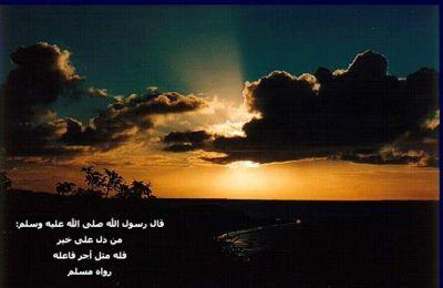 من دل على خير