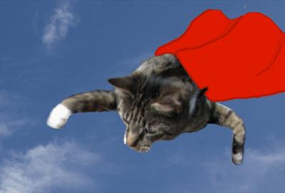 Super Oberon