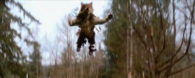shape shifter