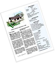 Church Bulletin