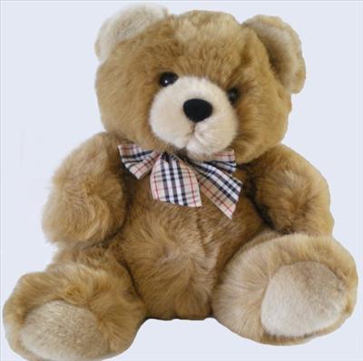 Ours en peluche.