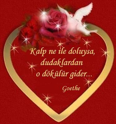 Kalp