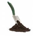 Plant a tree... please
