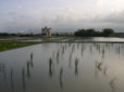景3