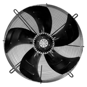 Fan