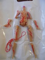 Dismembered Barbie