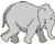 Huge Elephant