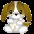 Cute Puppy