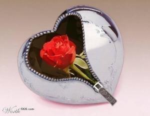 You're Special To Me ... and already deep in my heart