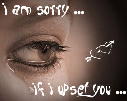 I Am Sorry ... if I upset you