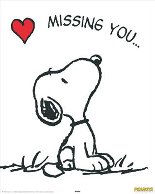 I Miss You ... more than you know