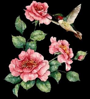 De doux oiseaux