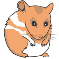 Hamster