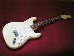 Fender White