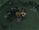 Alliance flight form
