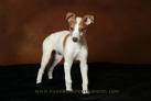 ♠Tilly♠