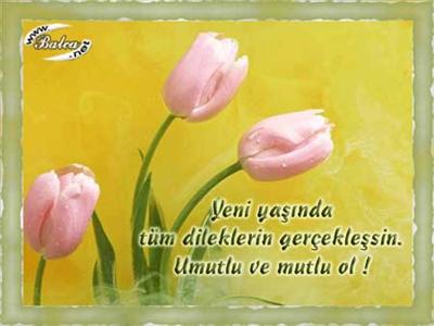 RESİM 36