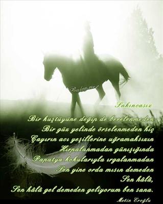 RESİM 20