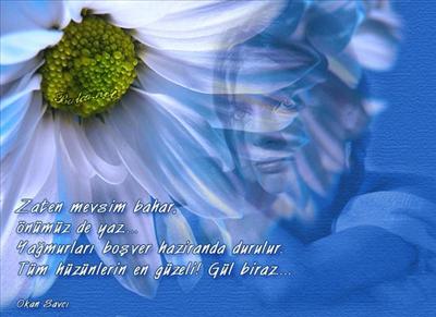 RESİM 21