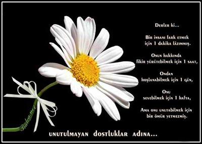 RESİM 14
