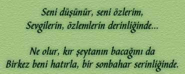 RESİM 27