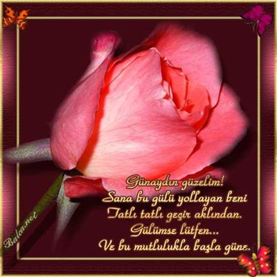 RESİM 1