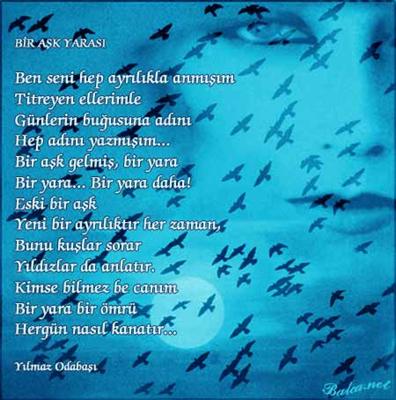 RESİM 15