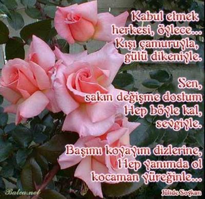 RESİM 6