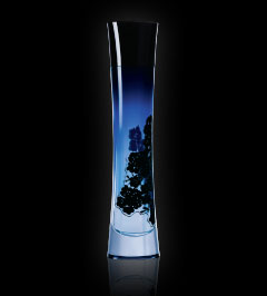 giorgio armani