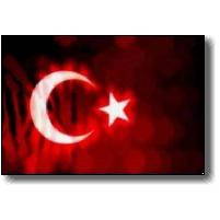 Şehitler Ölmez Vatan Bölünmez...