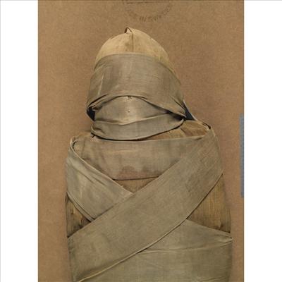 A Bandaged Mummy