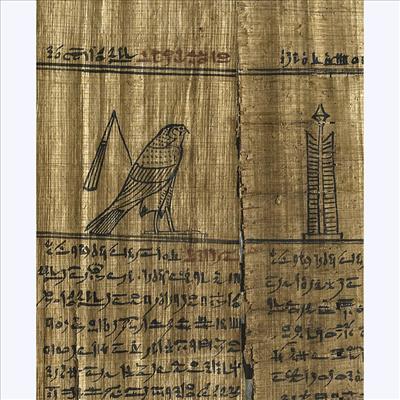 Book of the Dead
