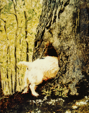 Jamie Wyeth