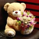 Cute Bear