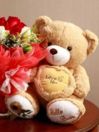 Cute Bear