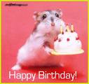 happy b day