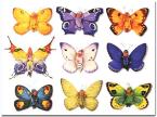 colorful butterflies