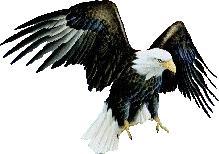 kartal