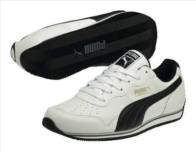 Puma 2