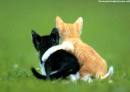 You Are My Best Friend