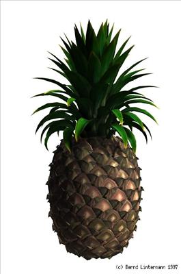 Ananas