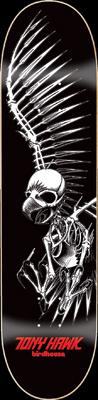 Full skull
