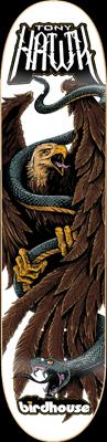 Bird of prey