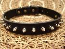 Broken Dog Collar