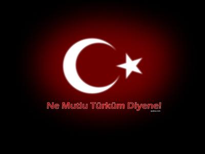 NE MUTLU TÜRKÜM DİYENE