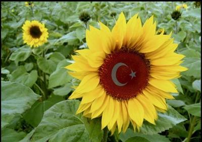 NE MUTLU TÜRKÜM DİYENE